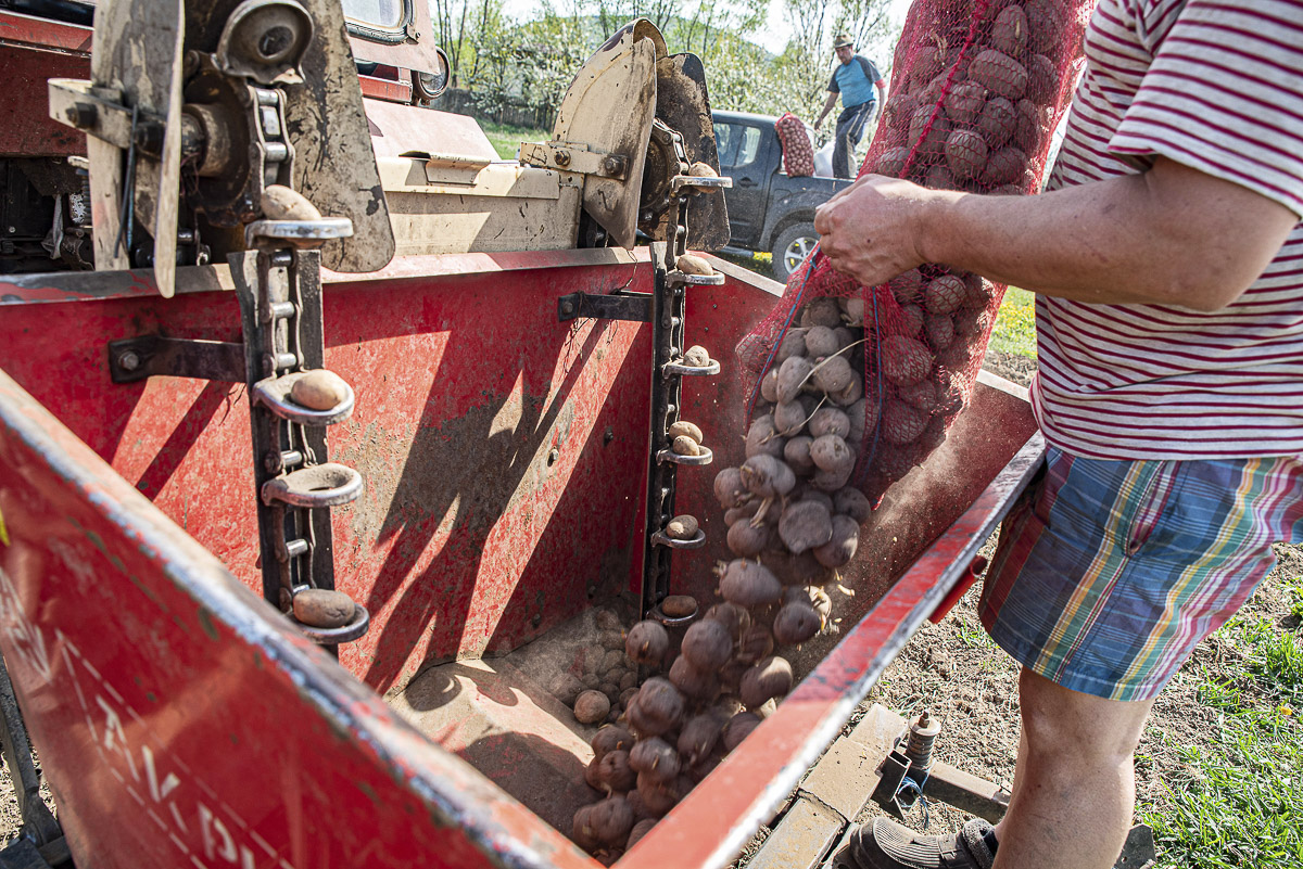 Jelentéktelenné válhat a „székely valuta”